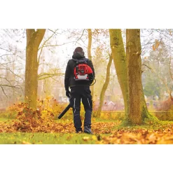 Souffleur De Feuilles à Dos Scheppach 2 Temps 51,7cm3 5 Souffleur De Feuilles à Dos Scheppach 2 Temps 51,7cm3 -Bahco Soldes ae235 171