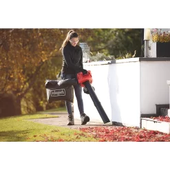 Aspirateur/souffleur De Feuilles Thermique Scheppach 2 Temps 25,4cm3 -Bahco Soldes ae235 208